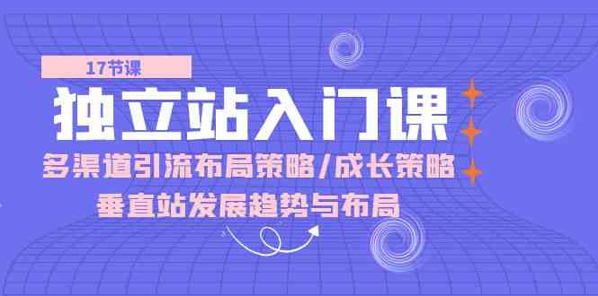 独立站入门课：多渠道引流布局策略成长策略垂直站发展趋势与布局