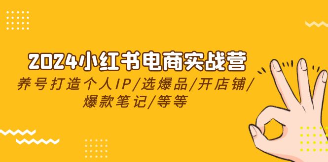 2024小红书电商实战营，养号打造IP选爆品开店铺爆款笔记等等（24节）